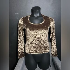 Vintage Velvet Long Sleeve Top in Gold Brown Medium